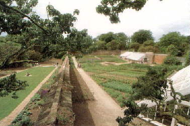The Lost Gardens of Heligan