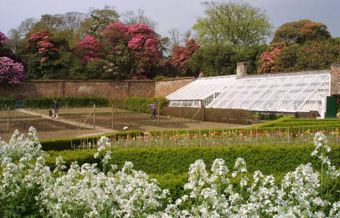 The Lost Gardens Of Heligan Mevagissey